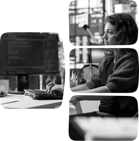 React Developer