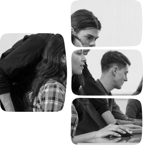 React Developer
