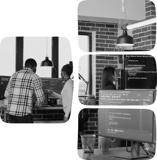 React Developer